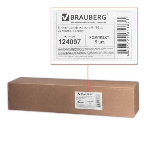 Блокноты для флипчарта Brauberg 20 листов, клетка, 5 шт 124097 фото 3